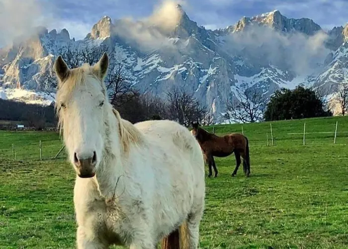 La Casita De 2 Ideal Familias Y Mascotas Διαμέρισμα Suances