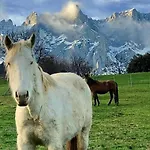 La Casita De 2 Ideal Familias Y Mascotas Appartamento Suances