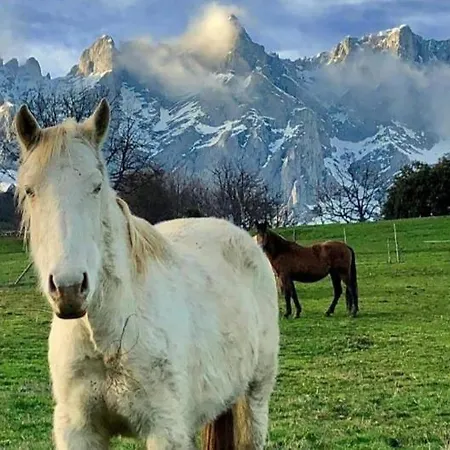 La Casita De 2 Ideal Familias Y Mascotas 公寓 苏安塞斯