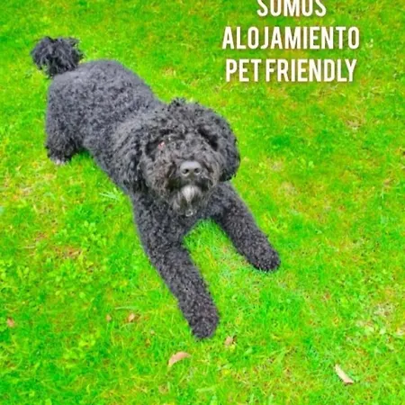 La Casita De 2 Ideal Familias Y Mascotas *