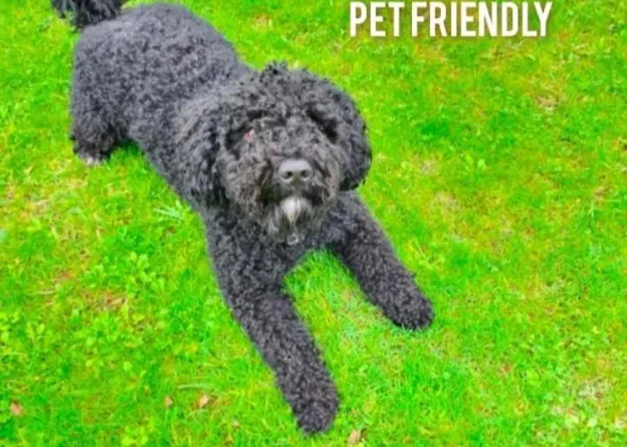 La Casita De 2 Ideal Familias Y Mascotas *